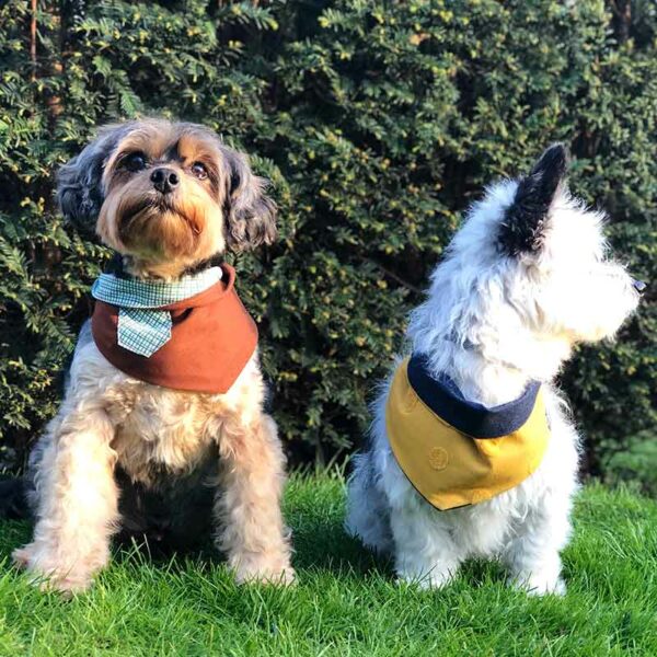 Knoopbandana Hunters Dream