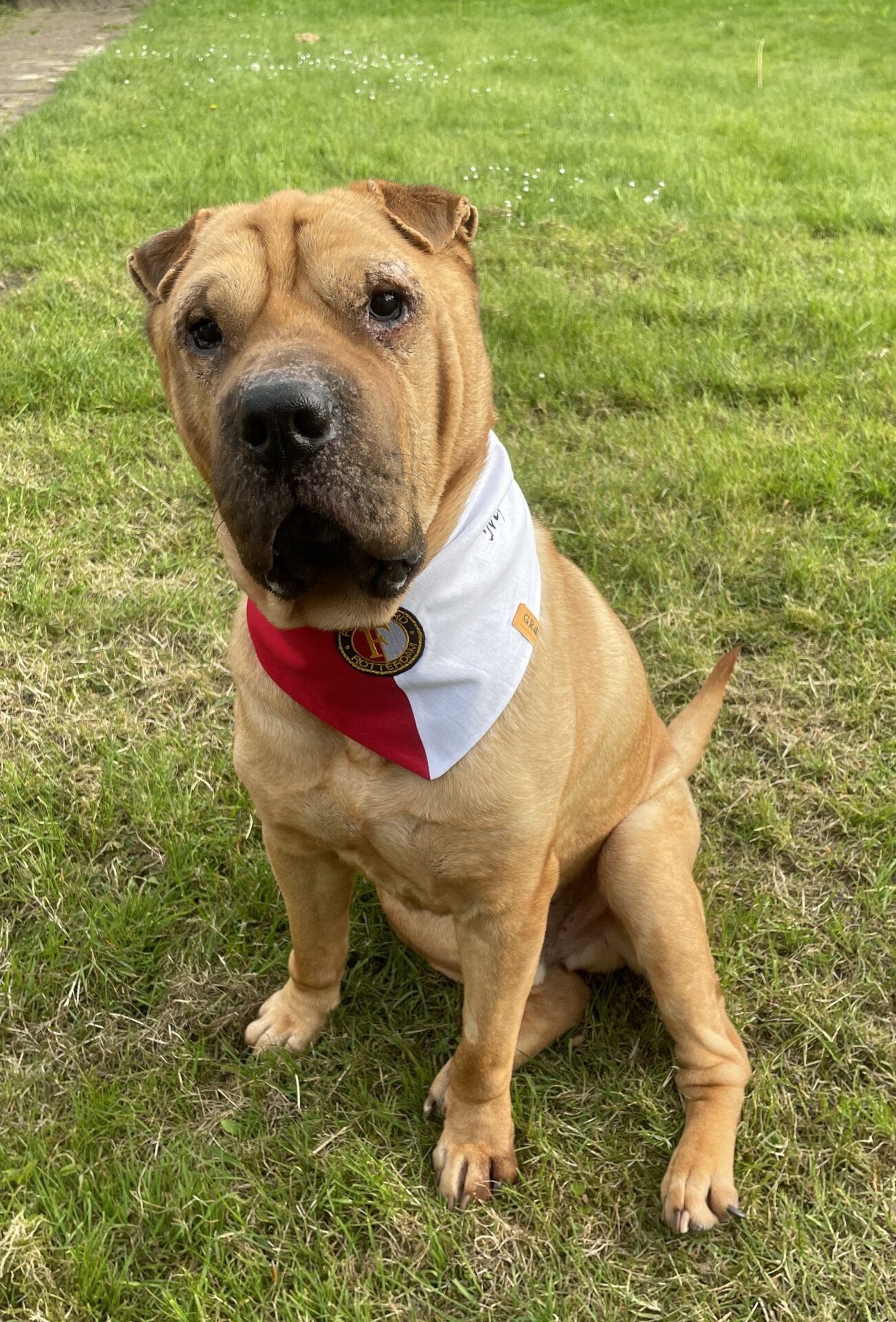 Knoopbandana Clubhelden