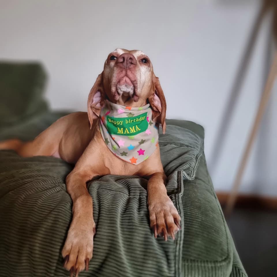 Customize jouw bandana